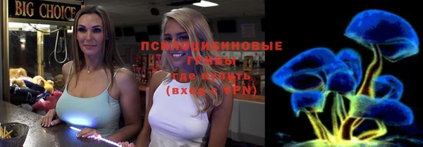 a pvp Алексин